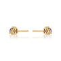 Fortune february birthstone amethyst earrings