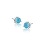White gold trendy december birthstone turquoise earrings