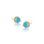 December birthstone turquoise earrings