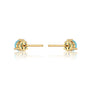 Trendy december birthstone turquoise earrings