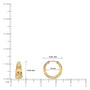Dimension details of yellow gold tapered high polish chubby hoop earrings