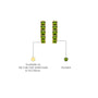 Yellow gold descriptive image of august birthstone peridot hoop earrings 
