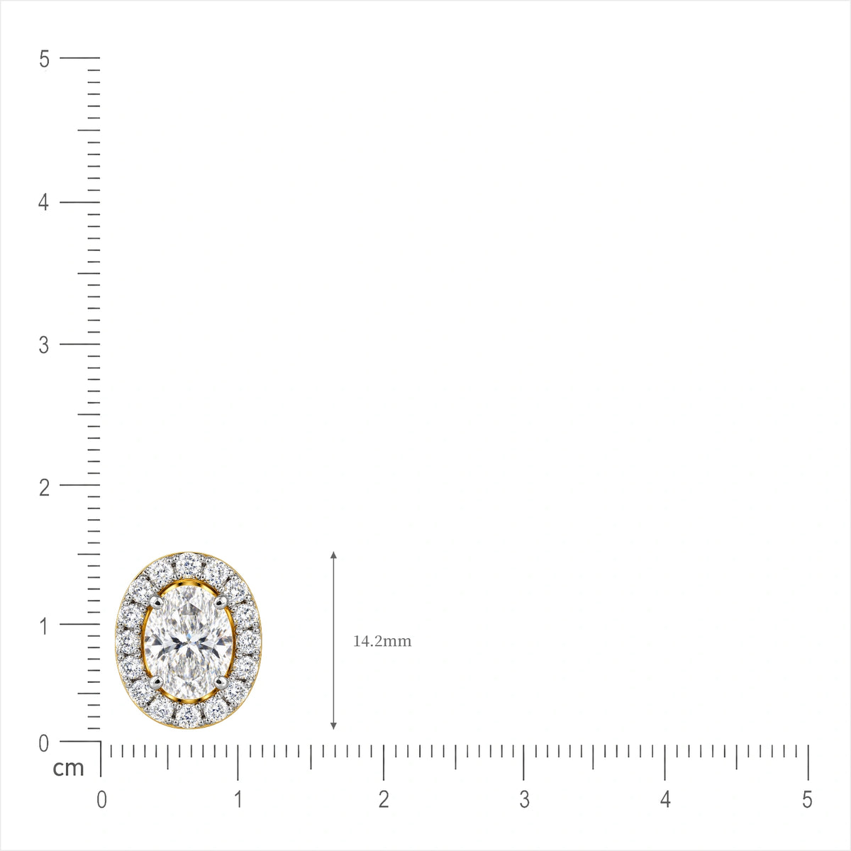 Size of 4 Ct Oval Cut Diamond Halo Stud Earrings by Fortune Jewellery