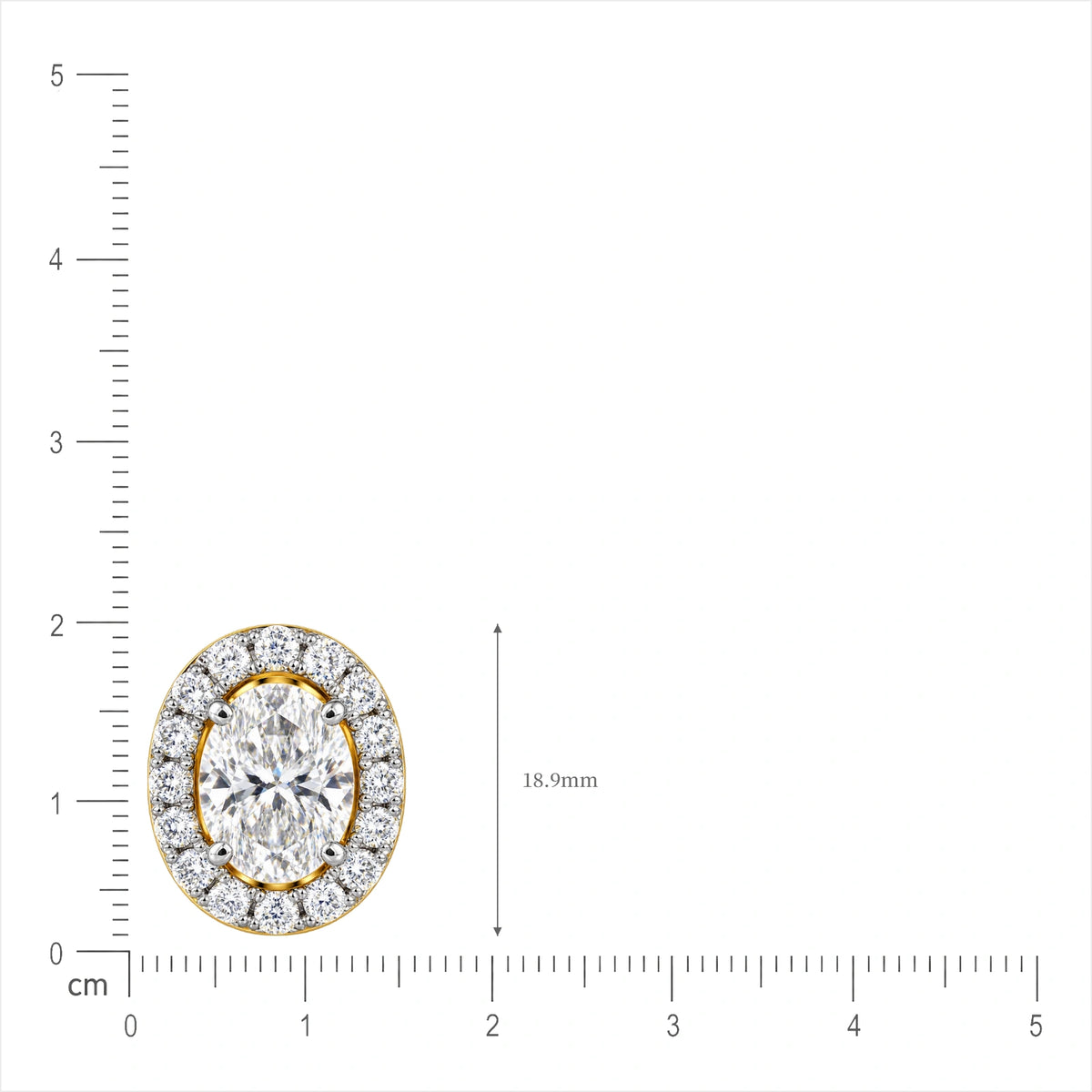 Size of 10 Ct Oval Cut Diamond Halo Stud Earrings by Fortune Jewellery