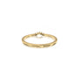 Back view of the Ai 爱 tiara chevron ring, showing its polished, dazzling finish in detail.