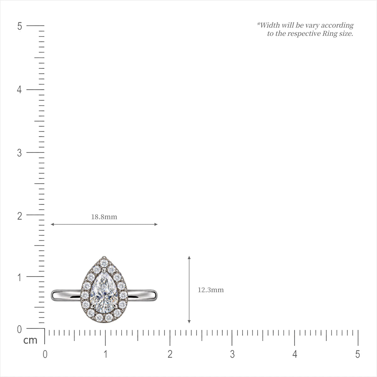 1 Ct Pear Cut Diamond Halo Ring